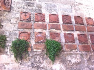 Porta San Giorgio Parietaria 1