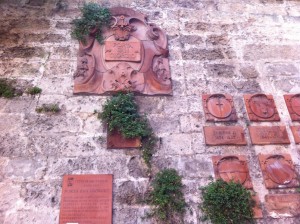 Porta San Giorgio Parietaria 2