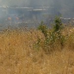 Incendio autobus 14