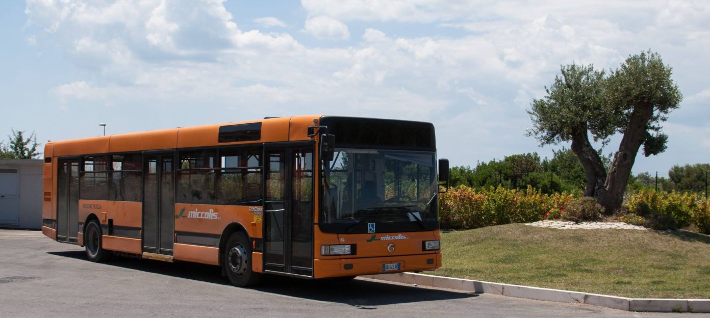 orari autobus ferrara linea 3