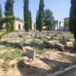 Cimitero_Campo di inumazione