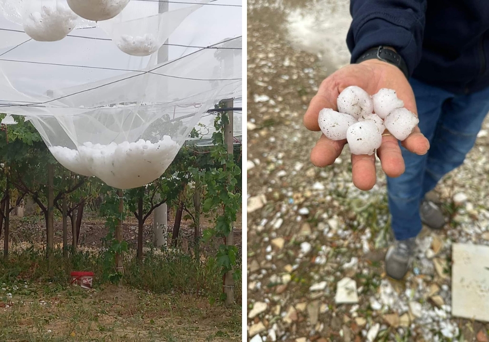 disastro grandine puglia maltempo